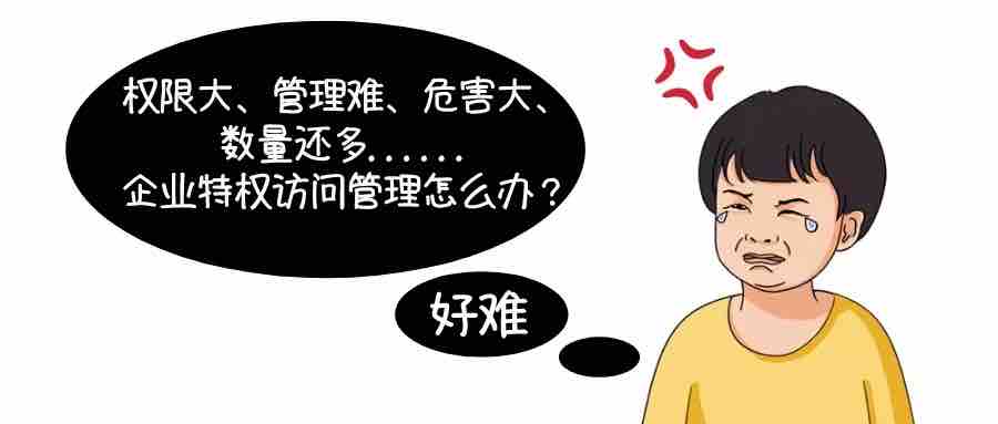 權(quán)限大、數(shù)量多、破壞強(qiáng)、管理難......企業(yè)特權(quán)訪問(wèn)管理怎么管?