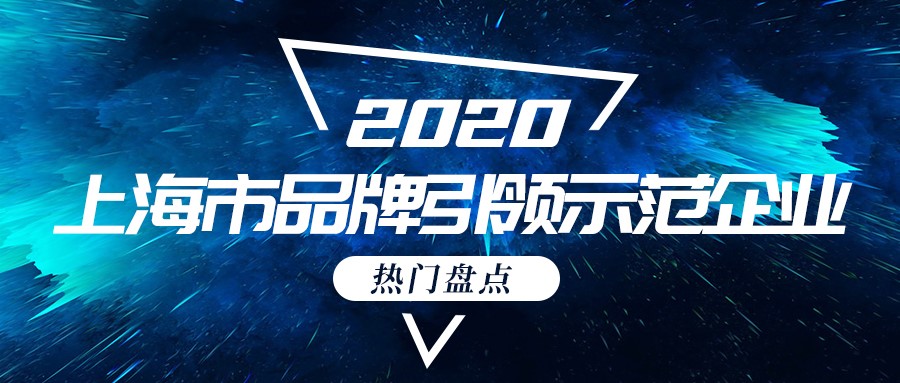 派拉軟件成功入選上海市品牌培育示范企業(yè)！
