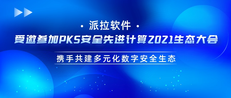 派拉軟件與奇安信結(jié)成戰(zhàn)略合作伙伴，攜手共建多元化數(shù)字安全生態(tài)