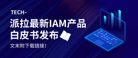 2024，身份安全至關(guān)重要！派拉軟件最新IAM產(chǎn)品詳解，文末附白皮書下載！