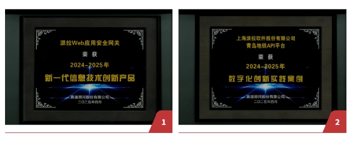 雙項殊榮！派拉軟件“Web應(yīng)用安全網(wǎng)關(guān)+API安全創(chuàng)新實踐”獲2025權(quán)威獎項