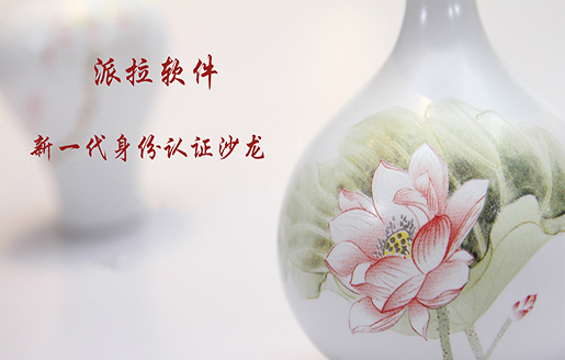 身份安全直通車 | 派拉軟件新一代身份認(rèn)證沙龍成功舉辦